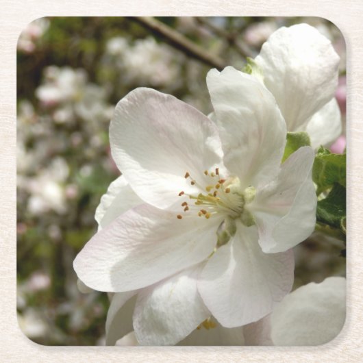 Apple Blossom Onderzetter (Voorkant)