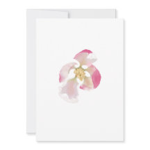 Apple Blossom Opening