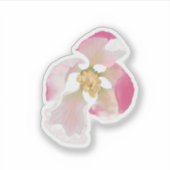 Apple Blossom Opening Sticker (Voorkant)