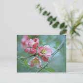 Apple Blossom #P0356 Briefkaart (Staand voorkant)
