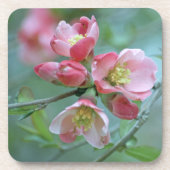 Apple Blossom #P0356 Cork Onderzetter (Voorkant)