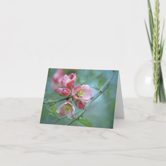 Apple Blossom #P0356 Kaart (Voorkant)