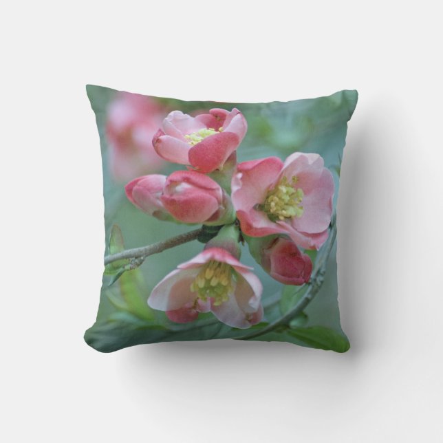 Apple Blossom #P0356 Kussen (Voorkant)