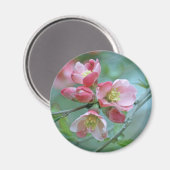 Apple Blossom #P0356 Magnet (Voorkant / Achterkant)