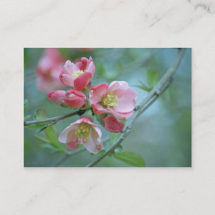 Apple Blossom #P0356 Mini Print Visitekaartje
