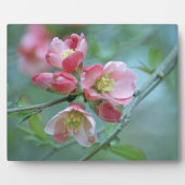 Apple Blossom #P0356 Plaque Fotoplaat (Voorkant)