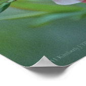 Apple Blossom #P0356 Poster (Hoek)