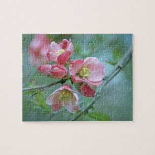 Apple Blossom #P0356 Puzzle Legpuzzel