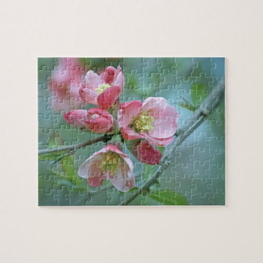 Apple Blossom #P0356 Puzzle Legpuzzel (Horizontaal)