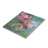 Apple Blossom #P0356 Tile Tegeltje (Zijkant)