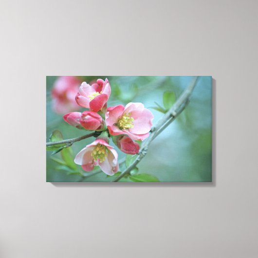 Apple Blossom #P0356 Wrapped Canvas Afdruk (Voorkant)