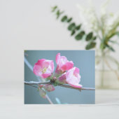 Apple Blossom #P0358 Briefkaart (Staand voorkant)