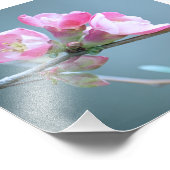 Apple Blossom #P0358 Foto Afdruk (Hoek)