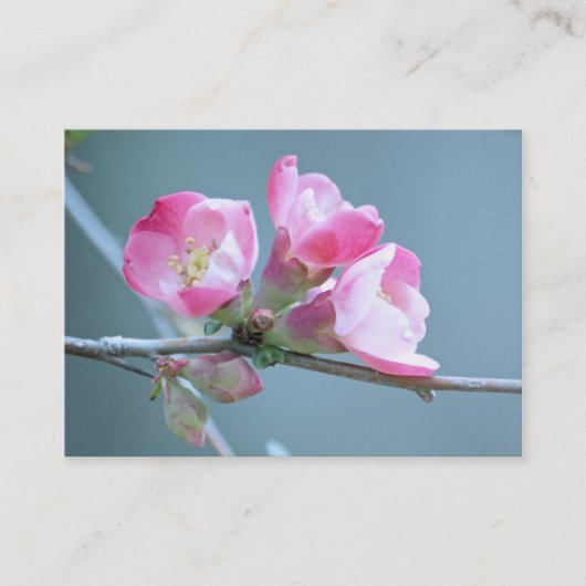 Apple Blossom #P0358 Mini Print Visitekaartje (Voorkant)