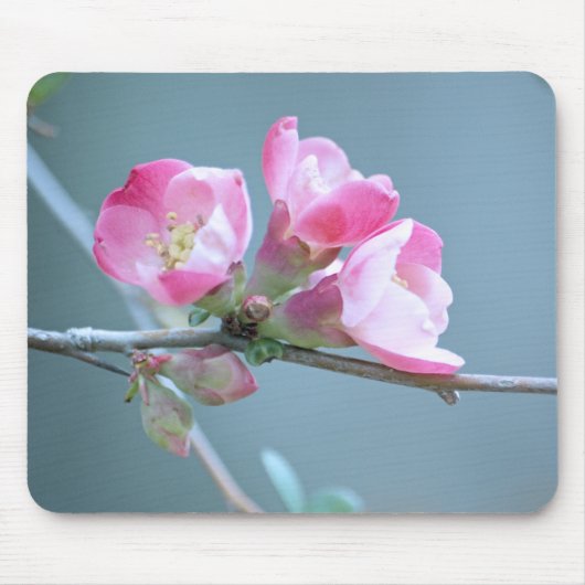 Apple Blossom #P0358 Mousepad Muismat (Voorkant)