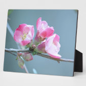 Apple Blossom #P0358 Plaque Fotoplaat (Zijkant)