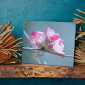 Apple Blossom #P0358 Plaque Fotoplaat (Zijkant)