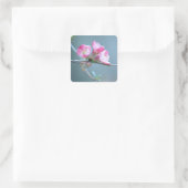 Apple Blossom #P0358 Sticker (Tas)