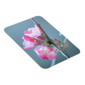 Apple Blossom #P0358 Vinyl Magnet Magneet (Rechterzijde)