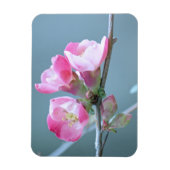 Apple Blossom #P0358 Vinyl Magnet Magneet (Verticaal)