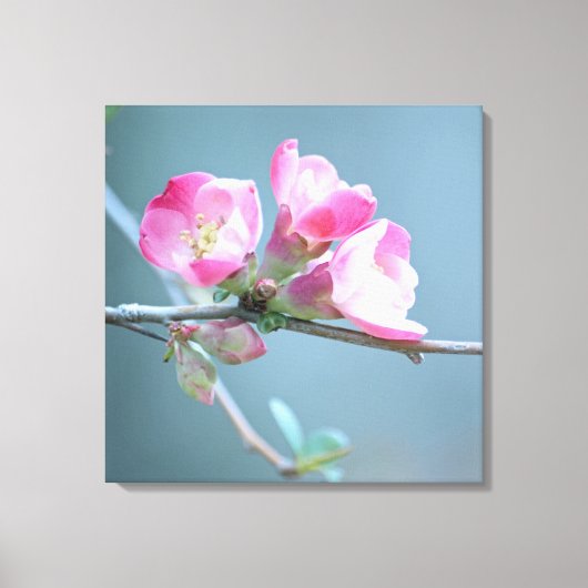 Apple Blossom #P0358 Wrapped Canvas Afdruk (Voorkant)