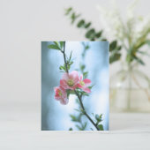 Apple Blossom #P0365 Briefkaart (Staand voorkant)