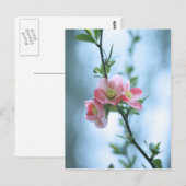 Apple Blossom #P0365 Briefkaart (Voorkant / Achterkant)
