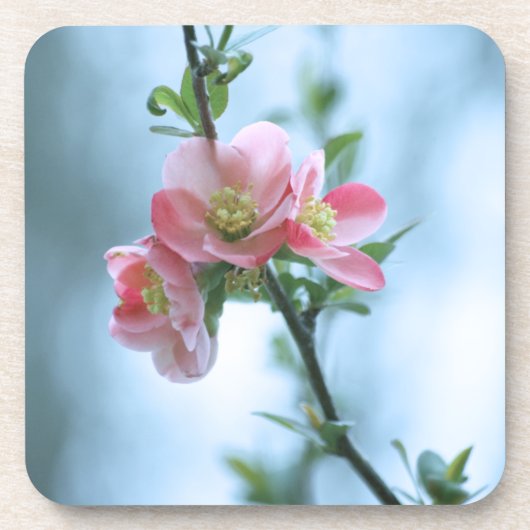 Apple Blossom #P0365 Cork Onderzetter (Voorkant)