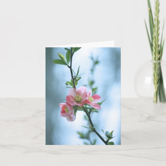 Apple Blossom #P0365 Kaart (Voorkant)