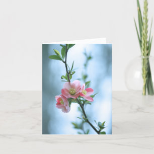 Apple Blossom #P0365 Kaart