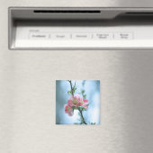 Apple Blossom #P0365 Magnet (Insitu (Vaatwasser))