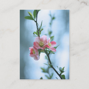 Apple Blossom #P0365 Mini Print Visitekaartje
