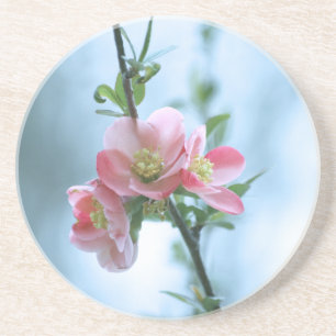 Apple Blossom #P0365 Onderzetter
