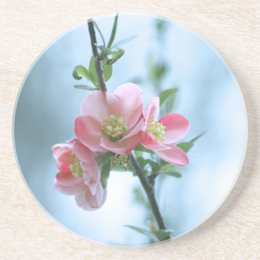 Apple Blossom #P0365 Onderzetter (Voorkant)