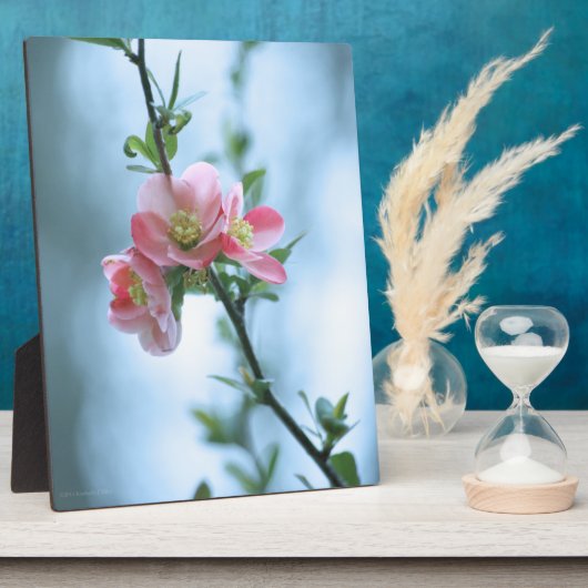 Apple Blossom #P0365 Plaque Fotoplaat (Zijkant)