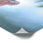 Apple Blossom #P0365 Poster (Hoek)