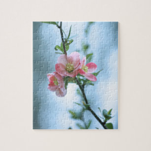 Apple Blossom #P0365 Puzzle Legpuzzel