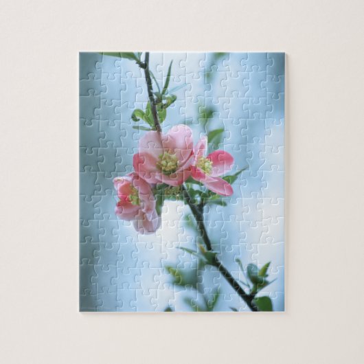 Apple Blossom #P0365 Puzzle Legpuzzel (Verticaal)