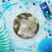 Apple Blossom Paper Borden Papieren Bordje (Feest)
