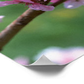 Apple Blossom Poster (Hoek)