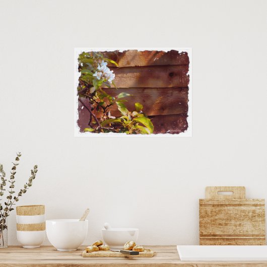 Apple Blossom Poster (Keuken)