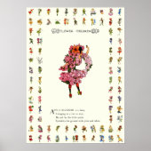 Apple Blossom Poster (Voorkant)
