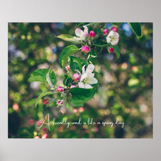 Apple blossom poster (Voorkant)