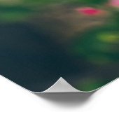 Apple blossom poster (Hoek)