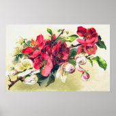 Apple Blossom Poster (Voorkant)