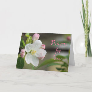 Apple Blossom Prayer card- or any occasion Feestdagen Kaart