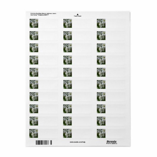 Apple Blossom retouradres label (Full Sheet)