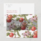 Apple Blossom Save-the-Date Aankondigingskaart (Voorkant / Achterkant)