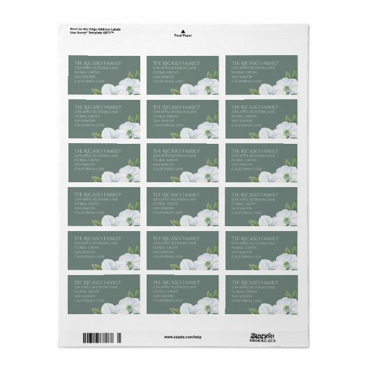 Apple Blossom , speciaal gepersonaliseerd groen en Etiket (Full Sheet)