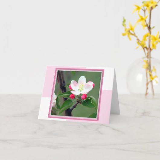 Apple Blossom Spring Note Kaart (Gele Bloem)